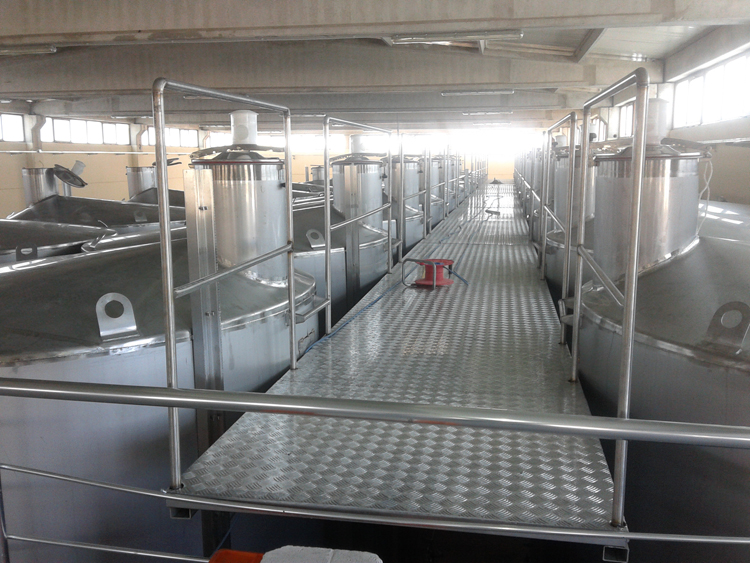 Paslanmaz Çelik Yürüme Yolları